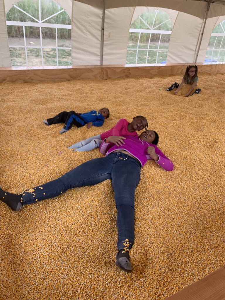 playing in the corn pit at happy day farm