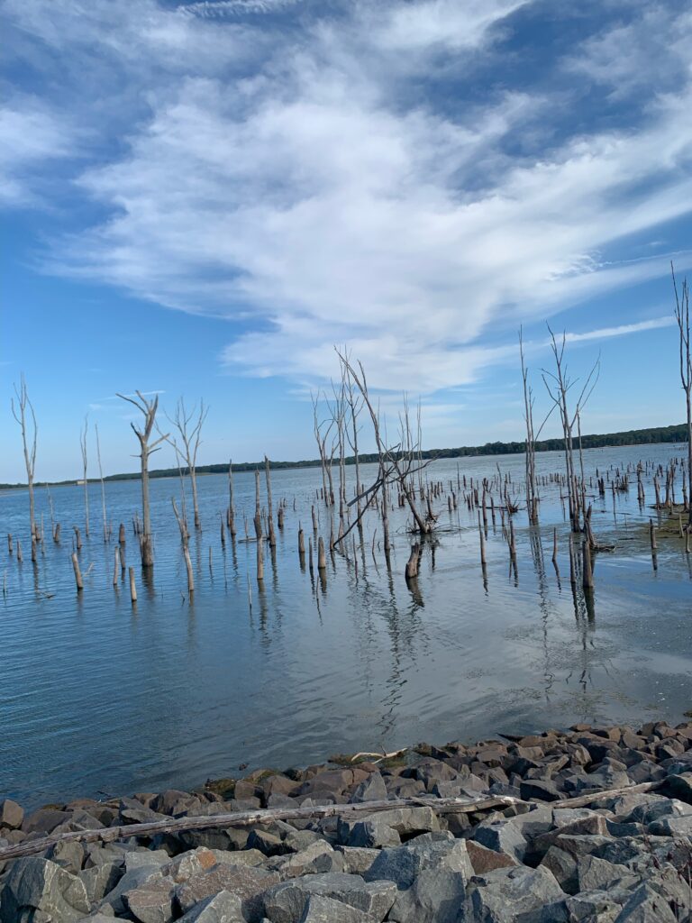 Picture of Manasquan Reservoir 