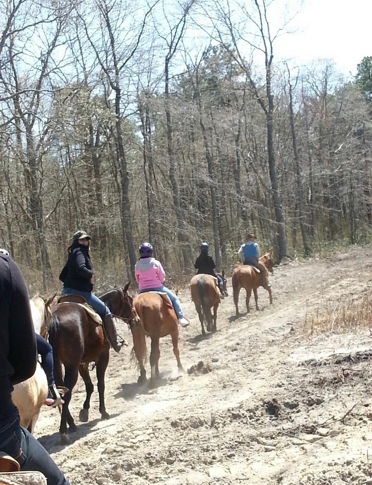 Horse back riding fun things to do in NJ with Friends
